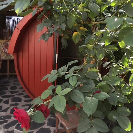 Gato Azul - Coliving Ξενοδοχείο La Orotava Εξωτερικό φωτογραφία