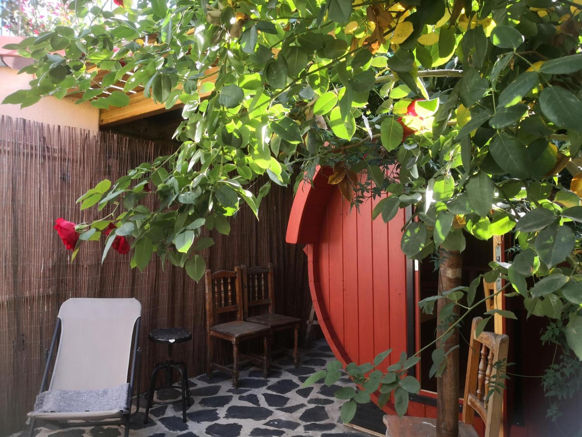 Gato Azul - Coliving Ξενοδοχείο La Orotava Εξωτερικό φωτογραφία